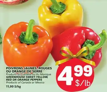 Marché Bonichoix Greenhouse sweet yellow, red or orange peppers offer