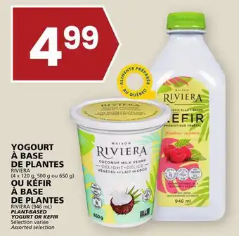Rachelle-Bery Grocery Riviera plant-based yogurt or kefir offer