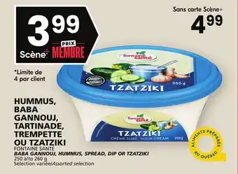 Rachelle-Bery Grocery Fontaine santé baba gannouj, hummus, spread, dip or tzatziki offer