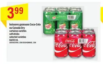 Maxi Boissons gazeuses coca-cola ou canada dry offer