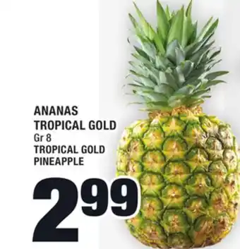Super C Ananas tropical gold | tropical gold pineapple offer