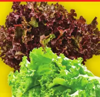 Super C Laitue en feuilles vertes, rouges ou laitue romaine | green, red leaf lettuce or romaine lettuce offer