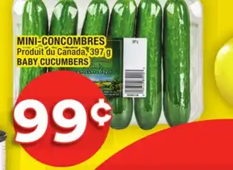 Super C Mini-concombres | baby cucumbers offer