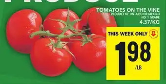Food Basics Tomatoes on the vine offer