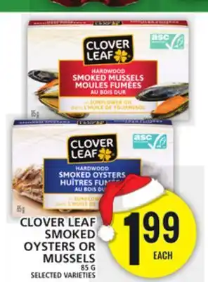 Food Basics Clover leaf smoked oysters or mussels offer