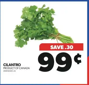 Real Canadian Superstore Cilantro offer
