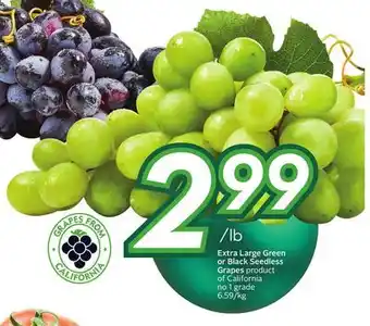 Sobeys Extra large green or black seedless grapes offer
