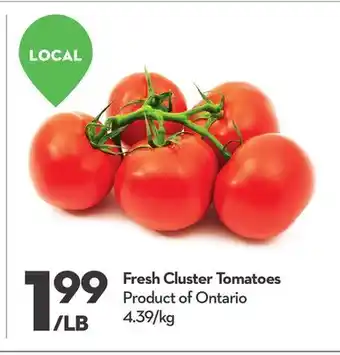 Longo's Fresh cluster tomatoes offer