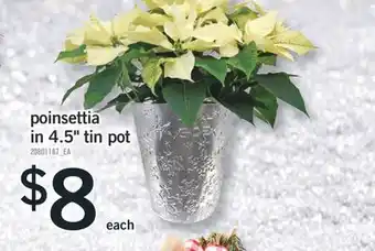 Fortinos Poinsettia in 4.5 tin pot offer