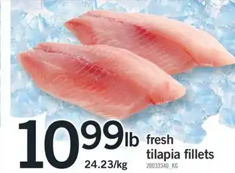 Fortinos Fresh tilapia fillets offer