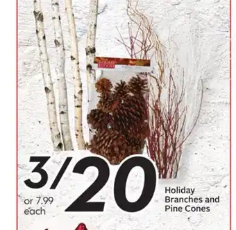 Sobeys Holiday branches and pine cones offer