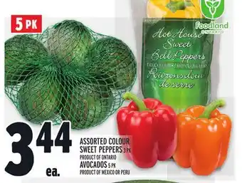 Metro Assorted colour sweet peppers offer