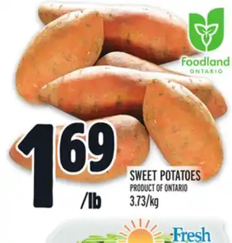 Metro Sweet potatoes offer