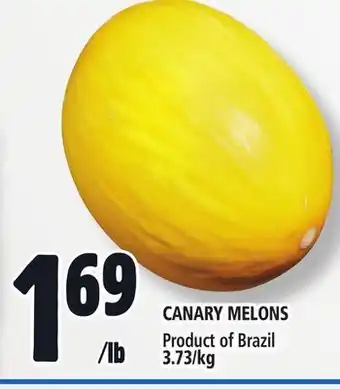 Metro Canary melons offer