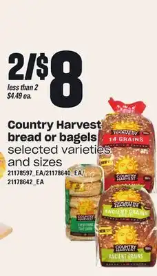 Loblaws Country harvest bread or bagels offer