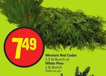Chalo FreshCo Western red cedar 1.5 lb bunch or white pine 2 lb bunch offer