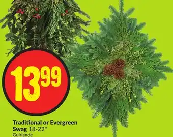 Chalo FreshCo Traditional or evergreen swag 18-22 offer