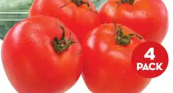 Giant Tiger 4 pack tomatoes offer