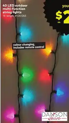 Giant Tiger Danson decor 40 led outdoor multi-function string lights offer