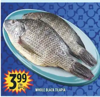 Marché Adonis Whole black tilapia offer