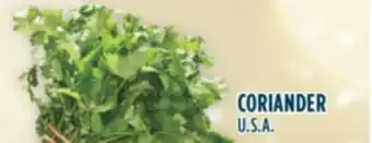 Marché Adonis Coriander offer