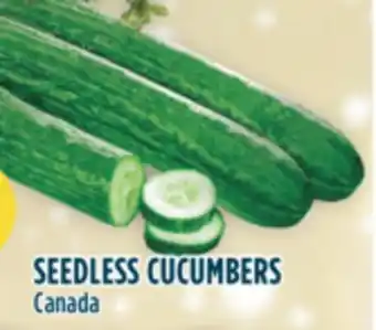 Marché Adonis Seedless cucumbers offer