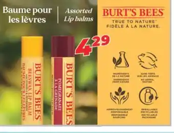 Familiprix Burts bee assorted lip balms offer