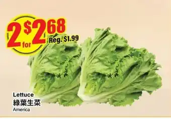 Btrust Supermarket Lettuce offer