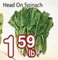 Nations Fresh Foods Head On Spinach offer