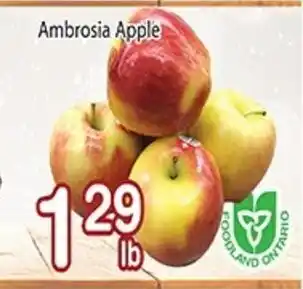 Nations Fresh Foods Ambrosia Apple offer