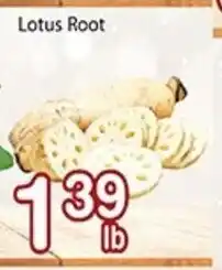 Nations Fresh Foods Lotus Root offer