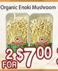 Nations Fresh Foods Organic Enoki Mushroom offer