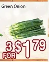 Nations Fresh Foods Green Onion offer