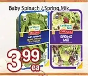 Nations Fresh Foods Baby Spinach/Spring Mix offer
