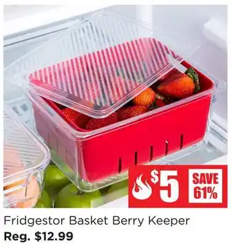 Kitchen Stuff Plus Fridgestor basket berry keeper offer