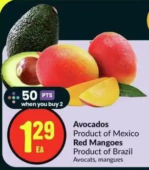 FreshCo Avocados, Red Mangoes offer