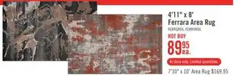 The Brick 4'11 x 8' ferrara area rug offer