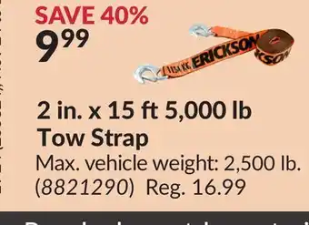 Princess Auto 2 in. x 15 ft5,000 lb tow strap offer