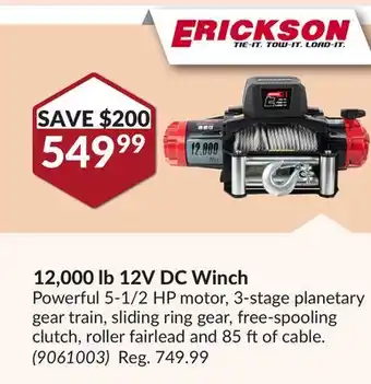 Princess Auto 12, 000 lb 12v dc winch offer