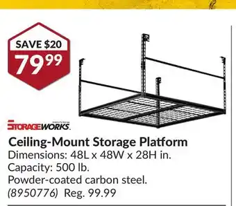 Princess Auto Ceiling-mount storage platform offer