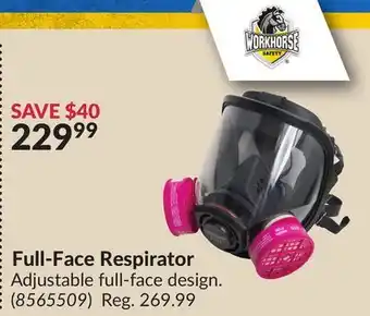 Princess Auto Full-face respirator offer
