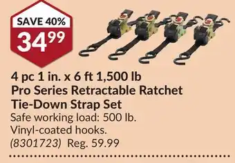 Princess Auto 4 pc 1 in. x 6 ft1,500 lb pro series retractable ratchet tie-down strap set offer