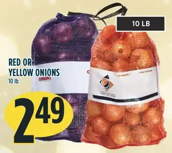 Marché Adonis Red or yello onions offer