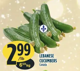 Marché Adonis Lebanese cucumbers offer