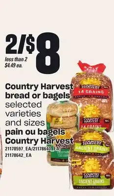 Independent City Market Pain ou bagels country harvest offer