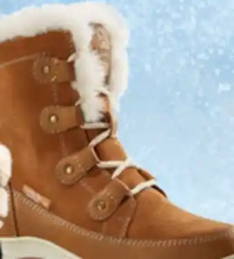 L'équipeur Icefx winter boot offer