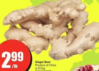 FreshCo Ginger Root 6.59/kg offer