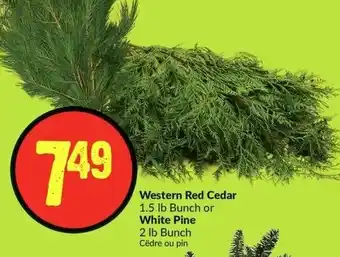 FreshCo Western Red Cedar 1.5 lb Bunch or White Pine 2 lb Bunch offer