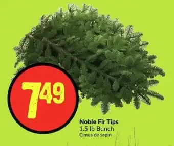 FreshCo Noble Fir Tips 1.5 lb Bunch offer