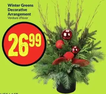FreshCo Winter Greens Decorative Arrangement offer